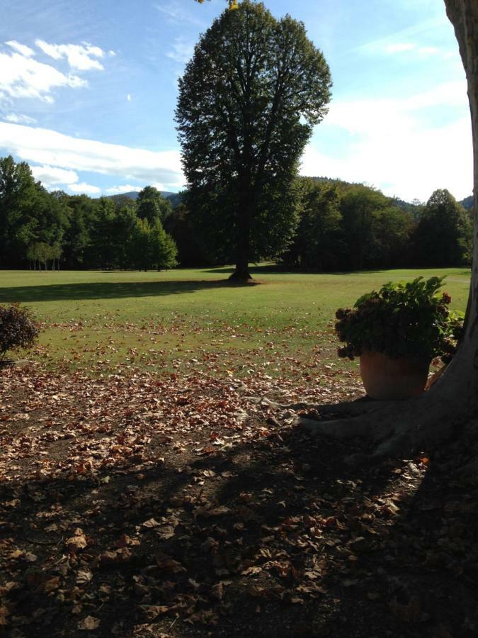 Chateau Du Val Larbont La Bastide-de-Sérou Eksteriør billede