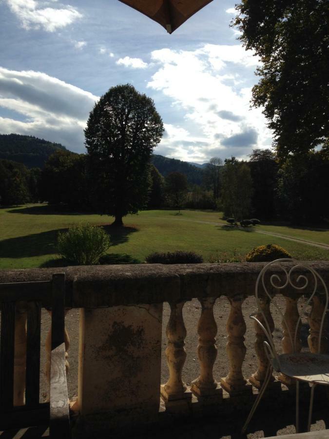 Chateau Du Val Larbont La Bastide-de-Sérou Eksteriør billede