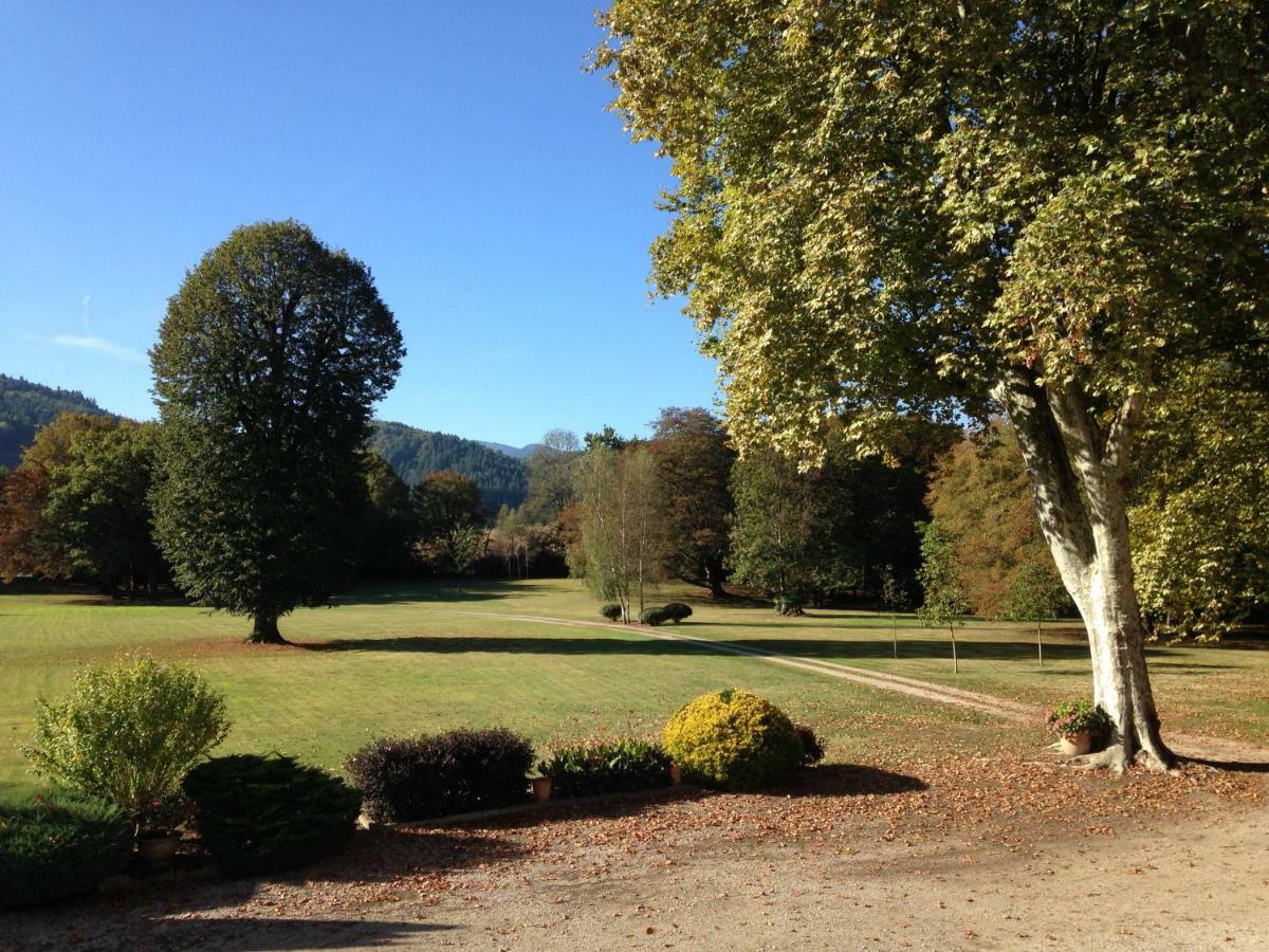 Chateau Du Val Larbont La Bastide-de-Sérou Eksteriør billede